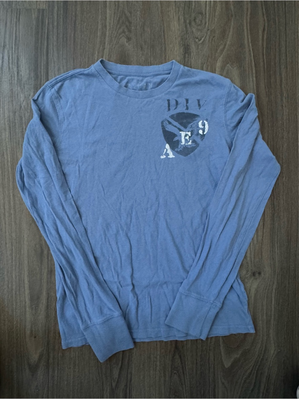American Eagle Outfitters Long Sleeve Crew Tee in Dusty Blue with White Graphic
